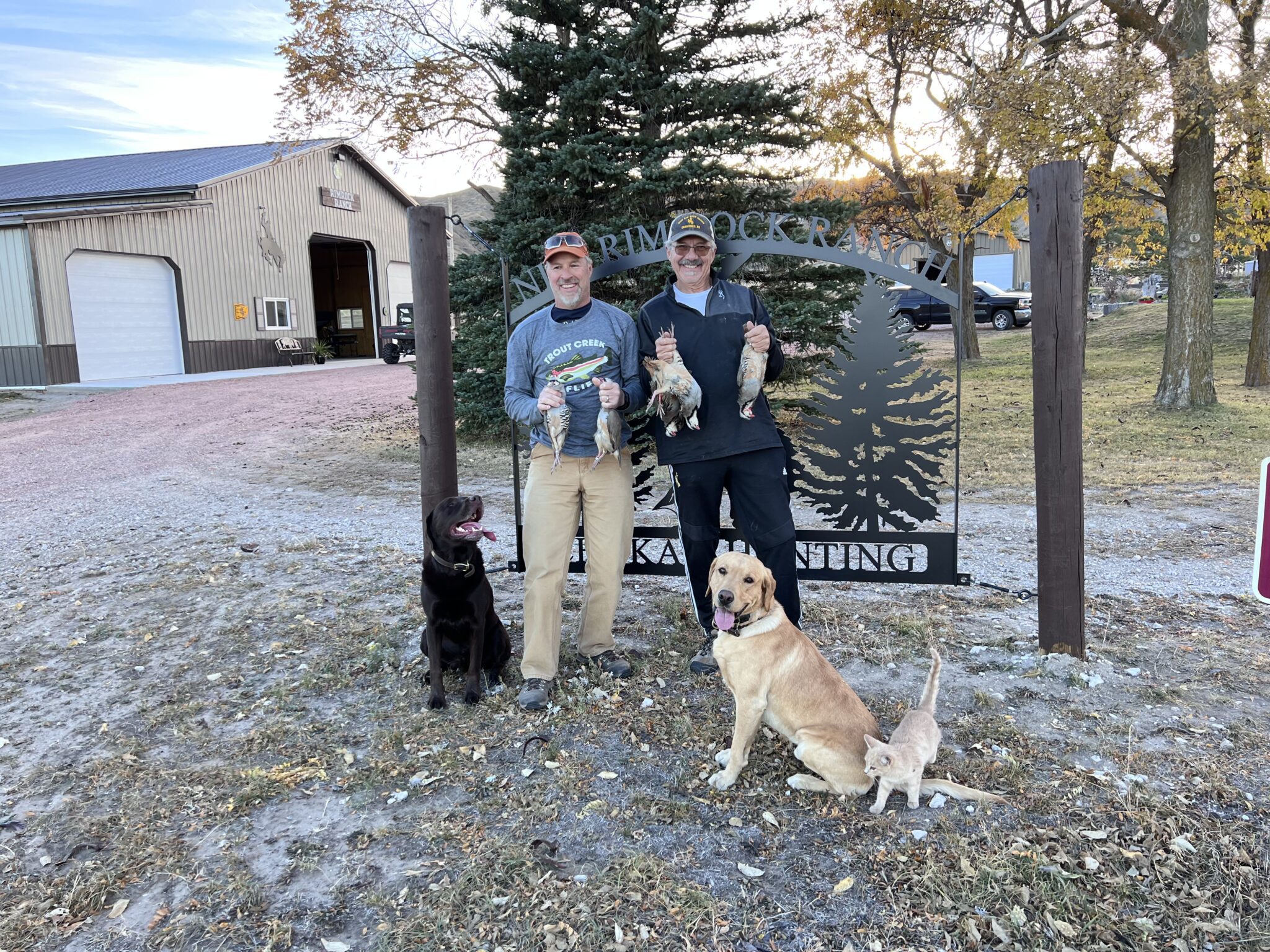 Upland game bird hunting – Niss Rimrock Ranch